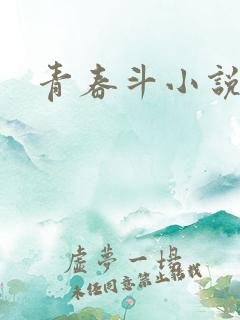 青春斗小说