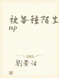 被各种陌生人 np