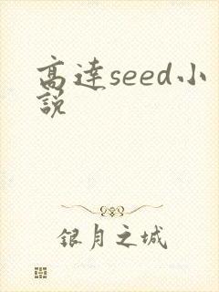 高达seed小说
