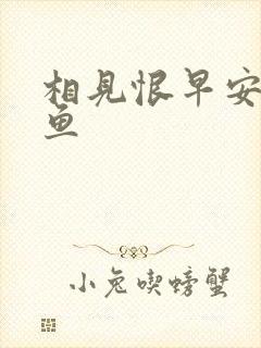 相见恨早安然的鱼