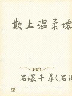 欺上温柔坏总裁