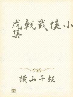 戊戟武侠小说全集