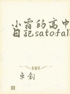 小霜的高中成长日记satofall