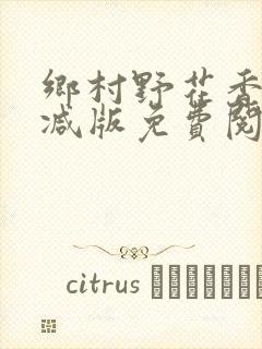 乡村野花香无删减版免费阅读全文