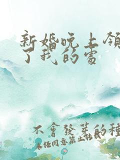 新婚晚上领导破了我的处