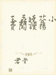 王磊晓芬小说免费阅读杨