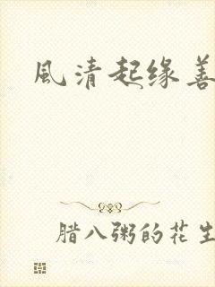 风清起缘善飘落