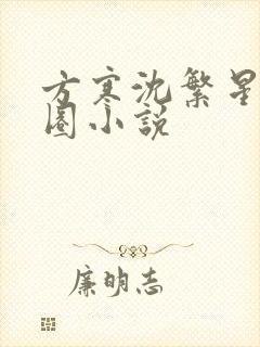 方寒沈繁星娱乐圈小说