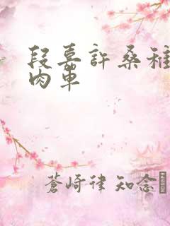 段嘉许桑稚浴室肉车