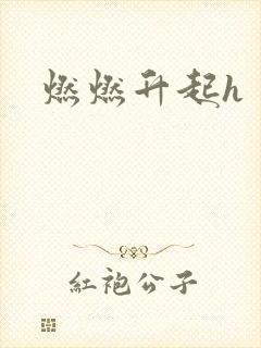 燃燃升起h