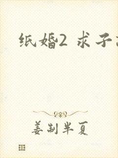 纸婚2 求子记