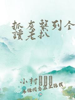 抓灰系列全文阅读老扒