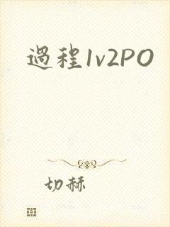 过程1v2PO