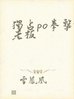 独占po拳击馆老板