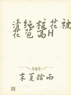 清纯校花被迫开花苞高H