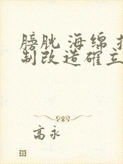 膀胱 海绵 控制改造确立m