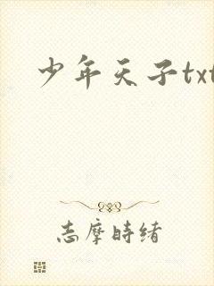 少年天子txt
