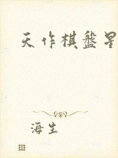 天作棋盘星作子