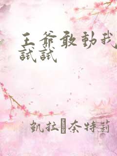 王爷敢动我妈咪试试