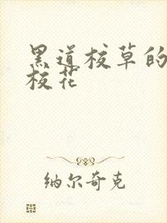 黑道校草的黑道校花
