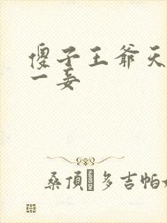 傻子王爷天下第一妾