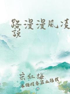 路漫漫风凌轩小说