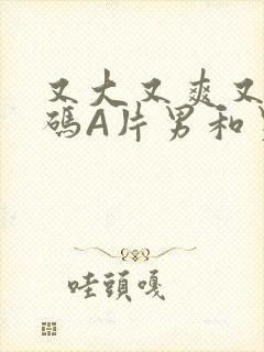 又大又爽又黄无码A片男和男