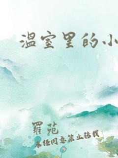 温室里的小百合