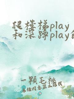 爬楼梯play和深蹲play的区别