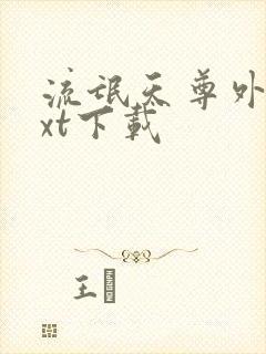 流氓天尊外传txt下载