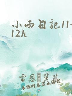 小雨日记11-12h