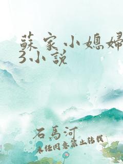 苏家小媳妇1V3小说