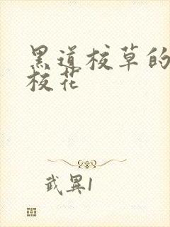 黑道校草的黑道校花