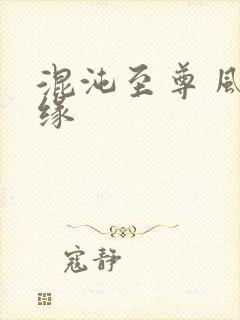 混沌至尊 风随缘