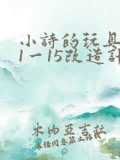 小诗的玩具日记1一15改造计划