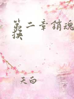 第二章销魂的交换