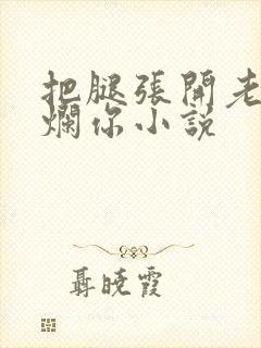 把腿张开老子臊烂你小说