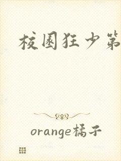 校园狂少第二部