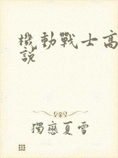 机动战士高达小说