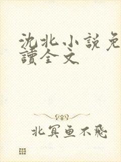 沈北小说免费阅读全文