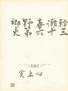 乡野春潮干柴烈火第六十三章