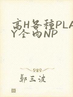 高H各种PLAY全肉NP