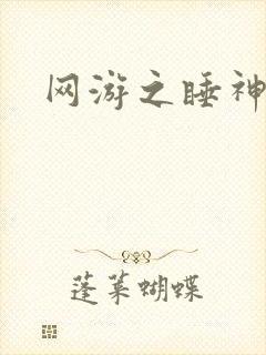 网游之睡神传说