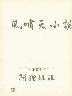 风啸天小说