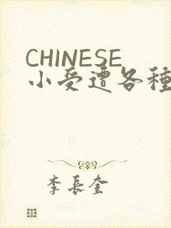 CHINESE小受遭各种打桩