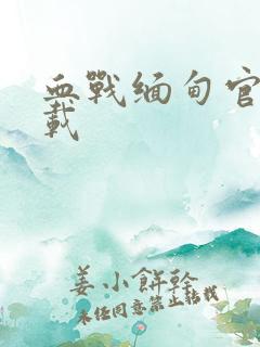 血战缅甸官方下载