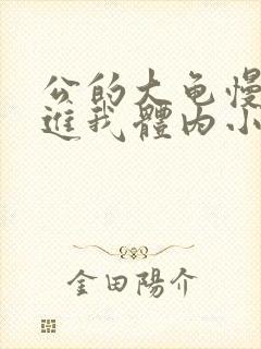 公的大龟慢慢挺进我体内小说