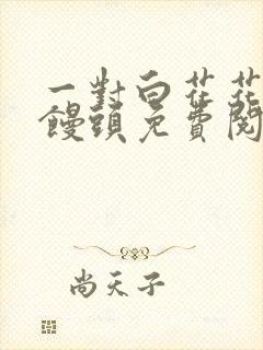 一对白花花的大馒头免费阅读