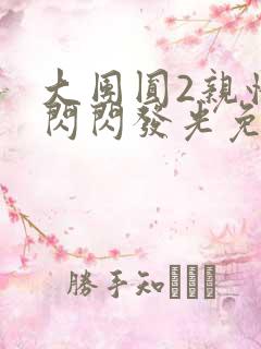 大团圆2亲情会闪闪发光免费