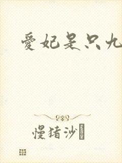 爱妃是只九尾猫